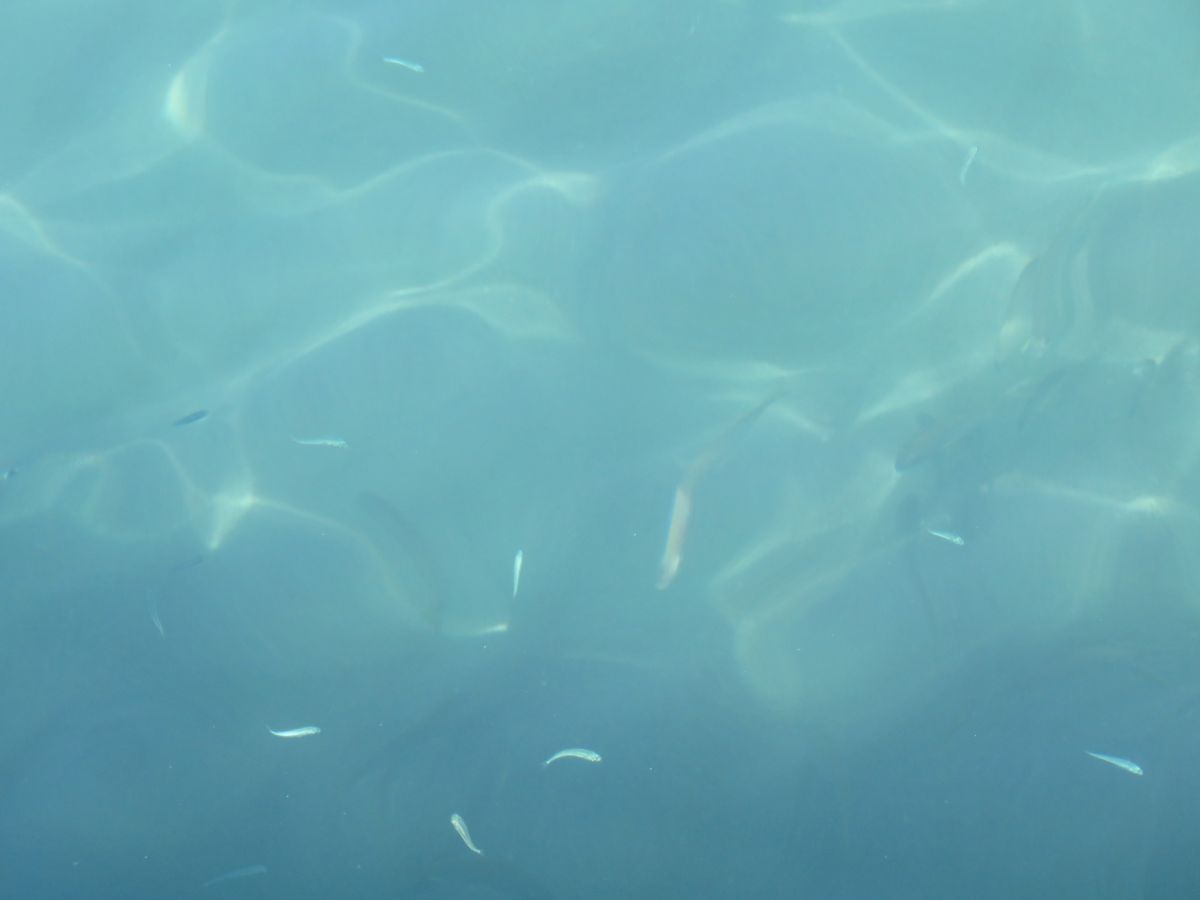 imagini hotel CLUB TUANA